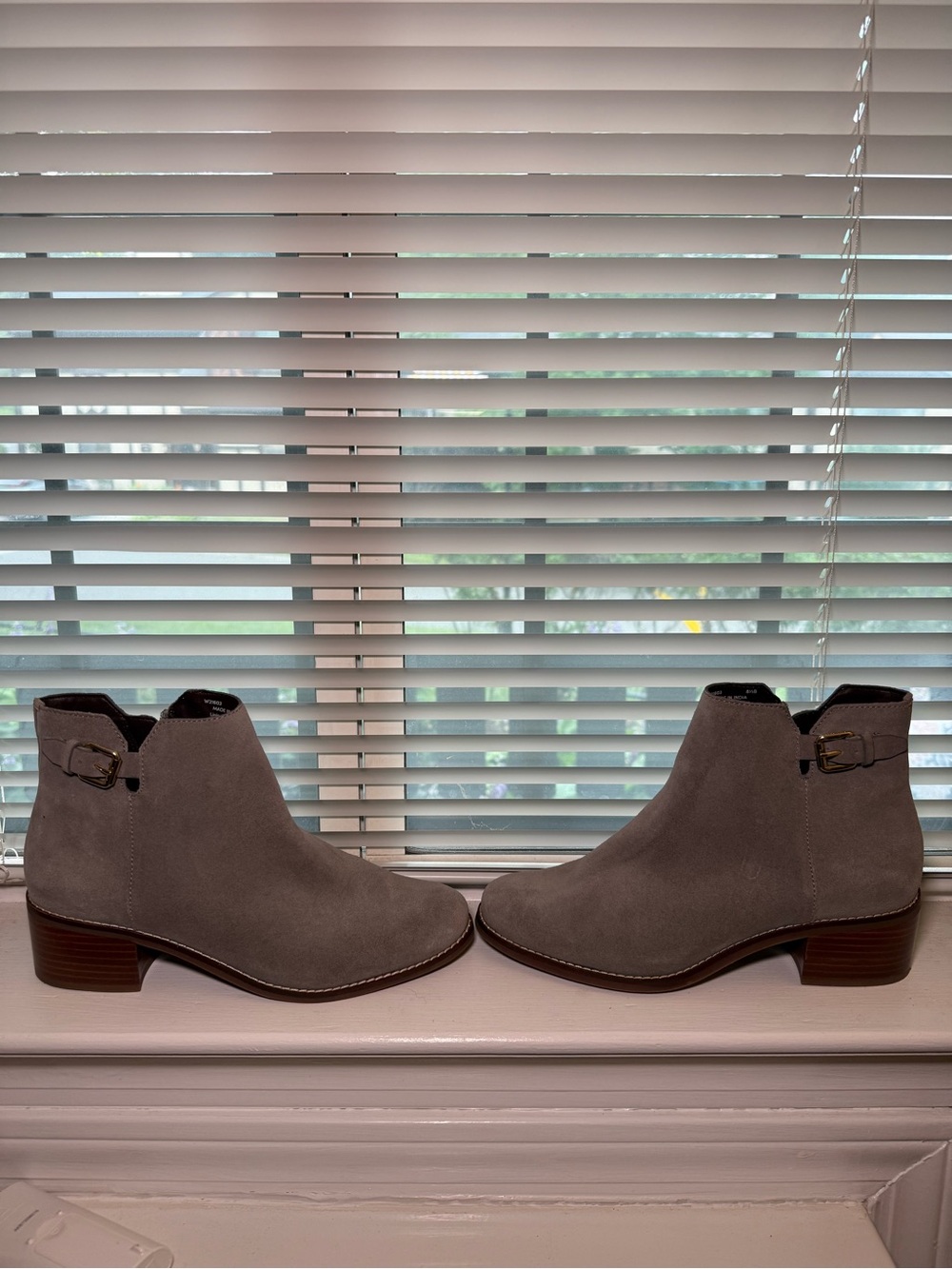 Cole Haan Women's Gray Suede Ankle Booties with Buckle- size 8.5